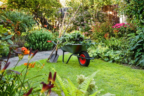 Restore Your Garden’s Beauty with Professional Garden Cleaning Services