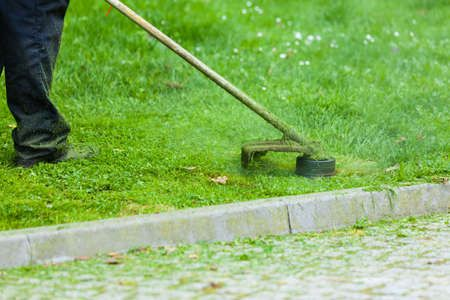Green Dreams: Elevate Your Auckland Property with Professional Lawn Mowing Services!
