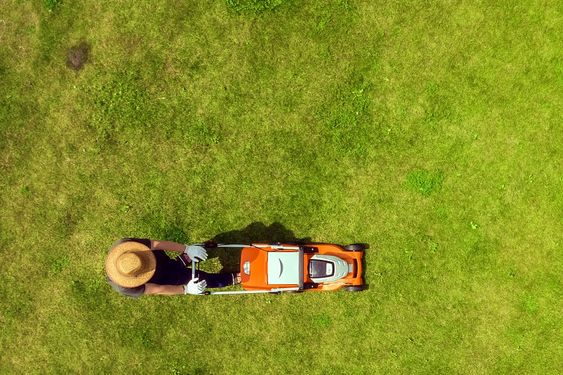 Expert Mowing Techniques for Auckland Lawns – Transform Your Lawn Today!