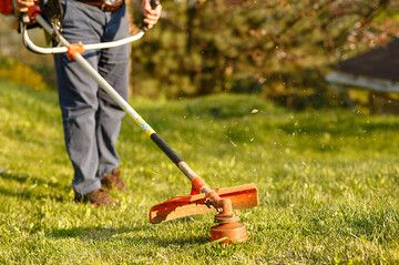 Auckland Lawn Mowing: History, Best Practices, and Benefits