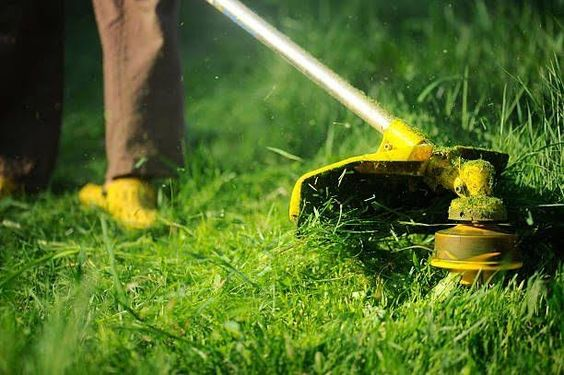 Auckland Lawn Mowing: Best Practices & Professional Services