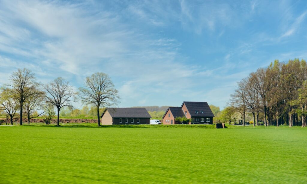 how-often-should-you-trim-a-hedge