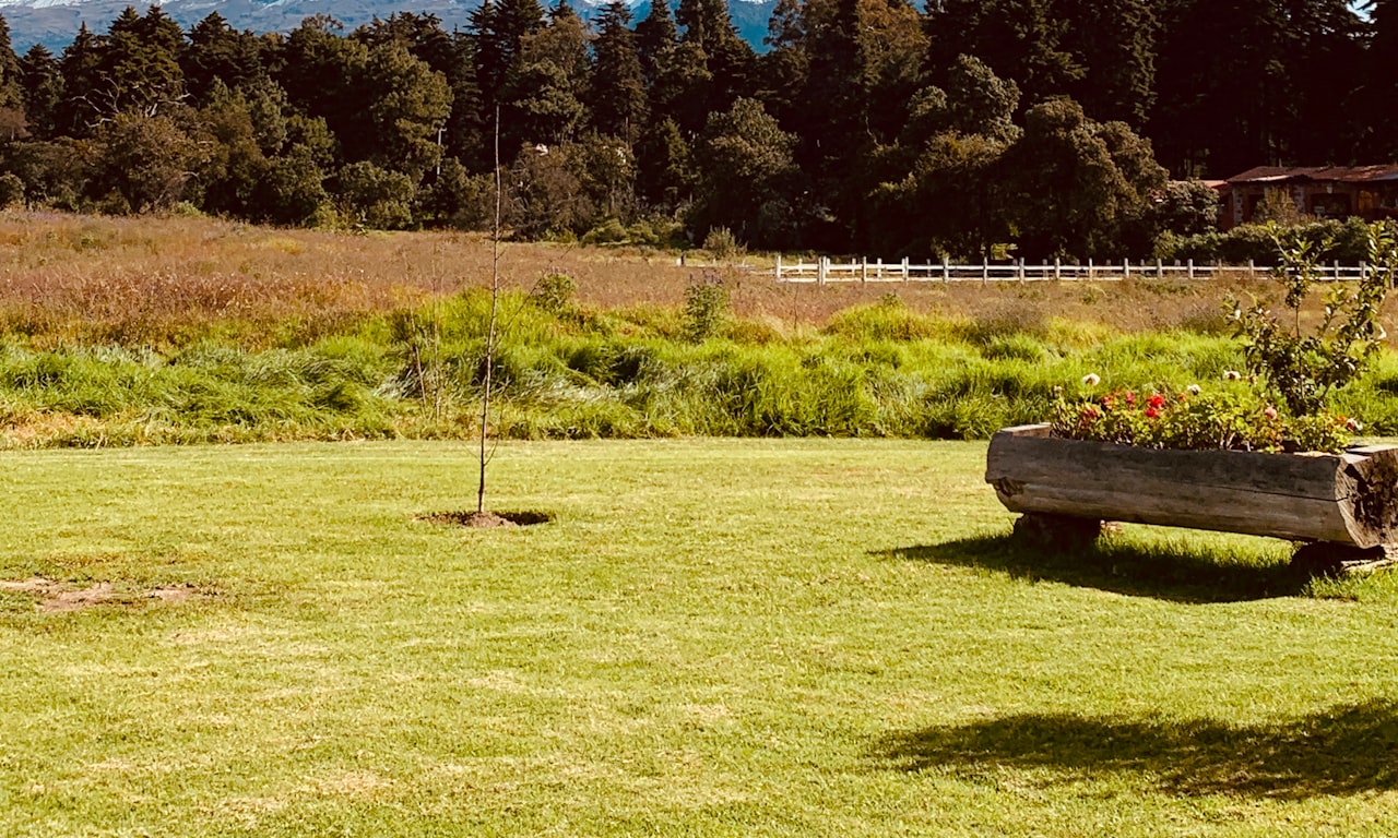 how-to-control-weeds-in-flower-beds