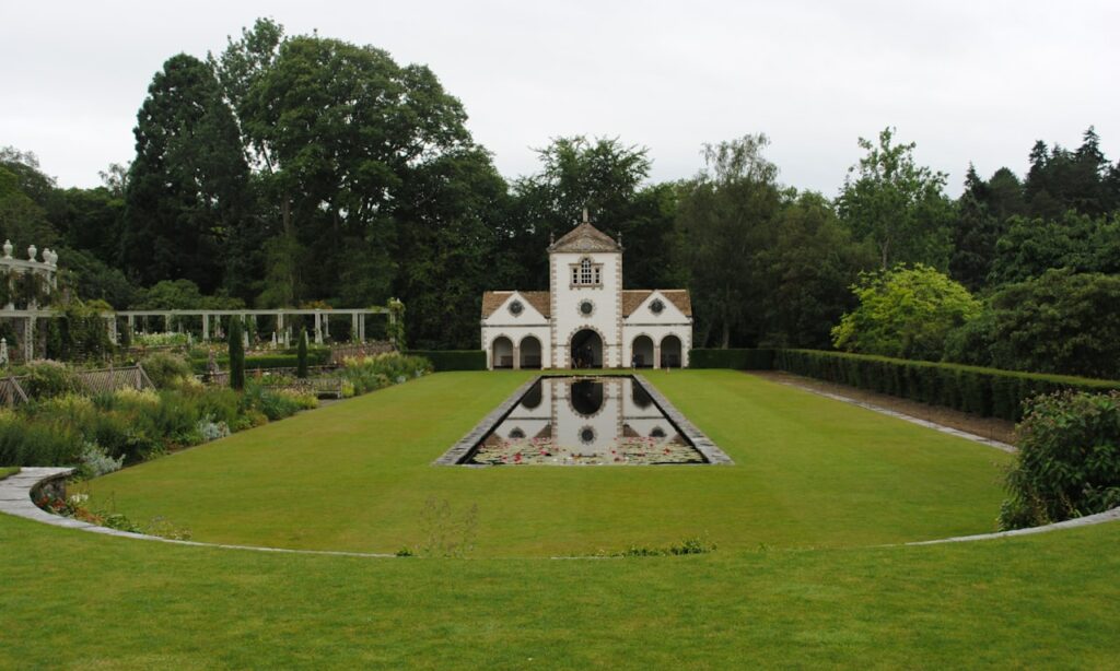 how-to-trim-beech-hedging