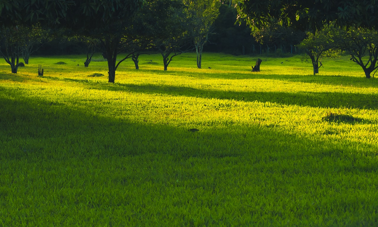 how do farmers control weeds0