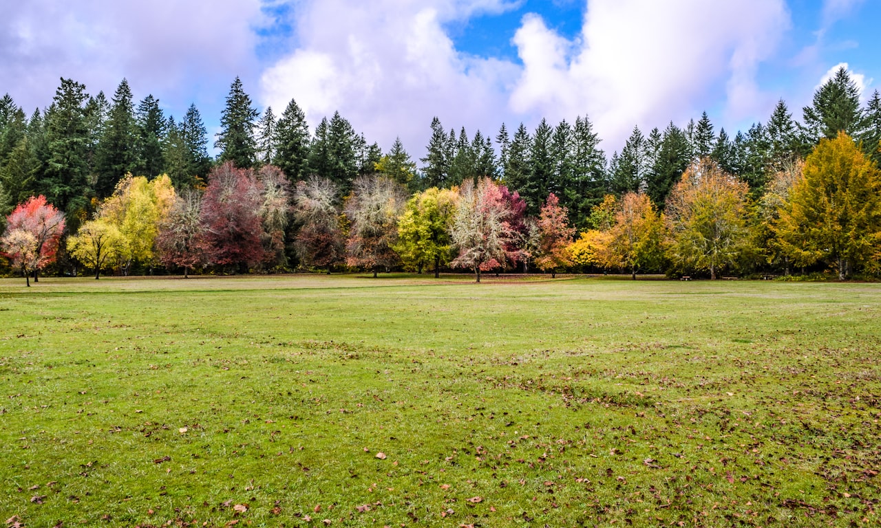 how to control pond weeds0