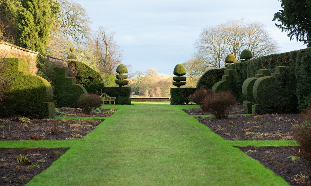 how trim boxwood hedges new0