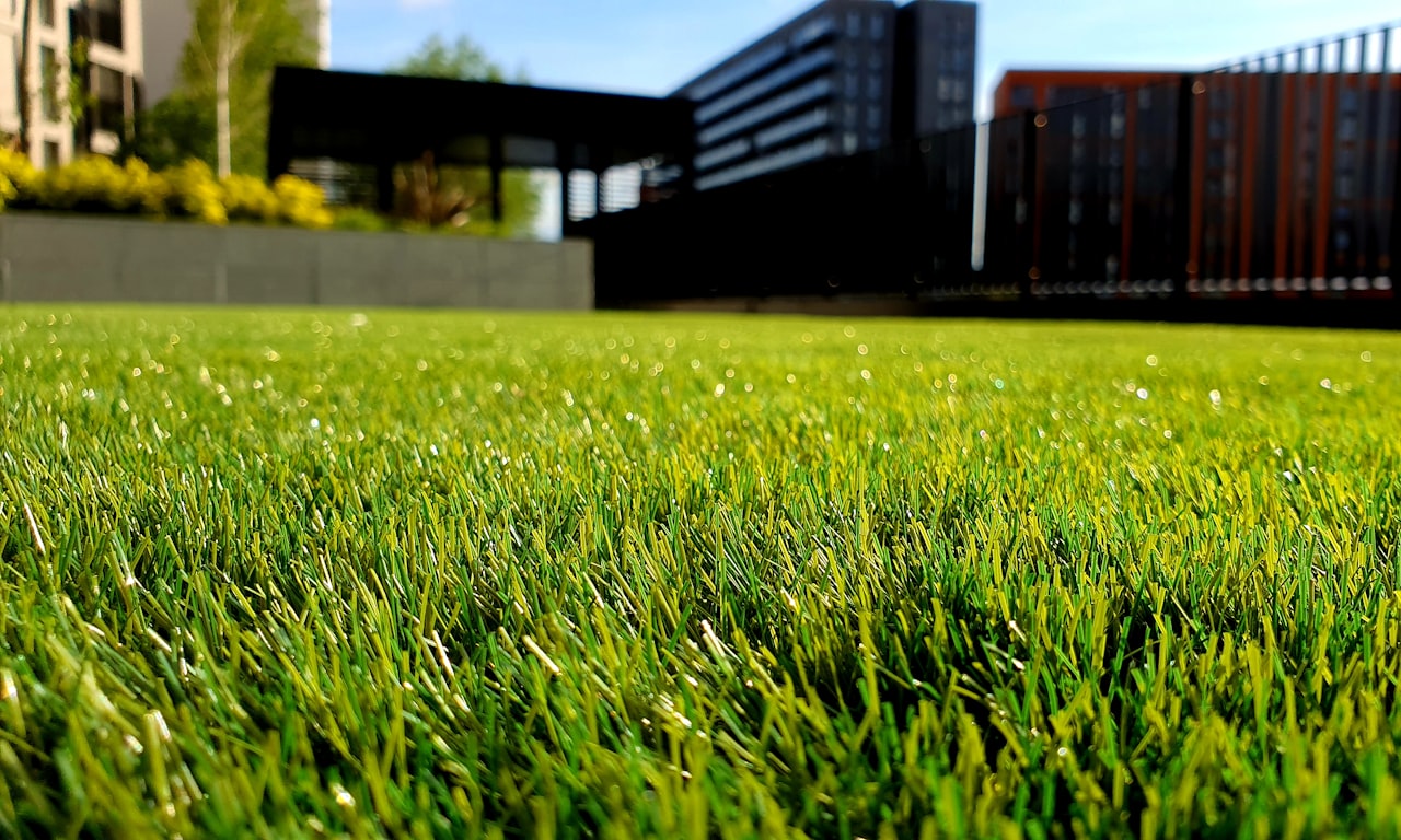 when-should-you-trim-hedges