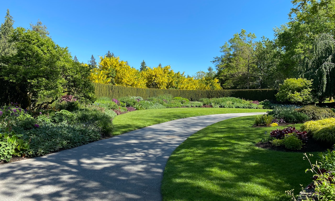 when-to-prune-photinia-hedge-nz