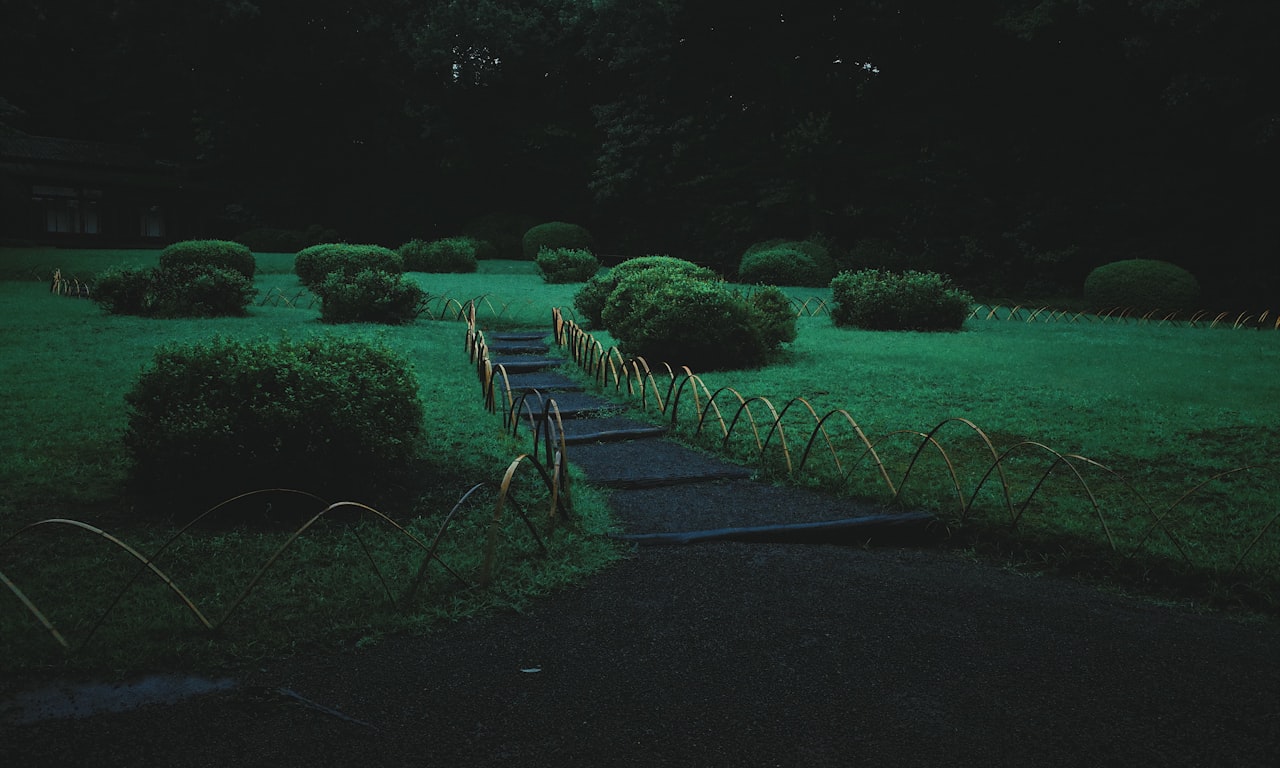 when-to-trim-griselinia-hedge-nz