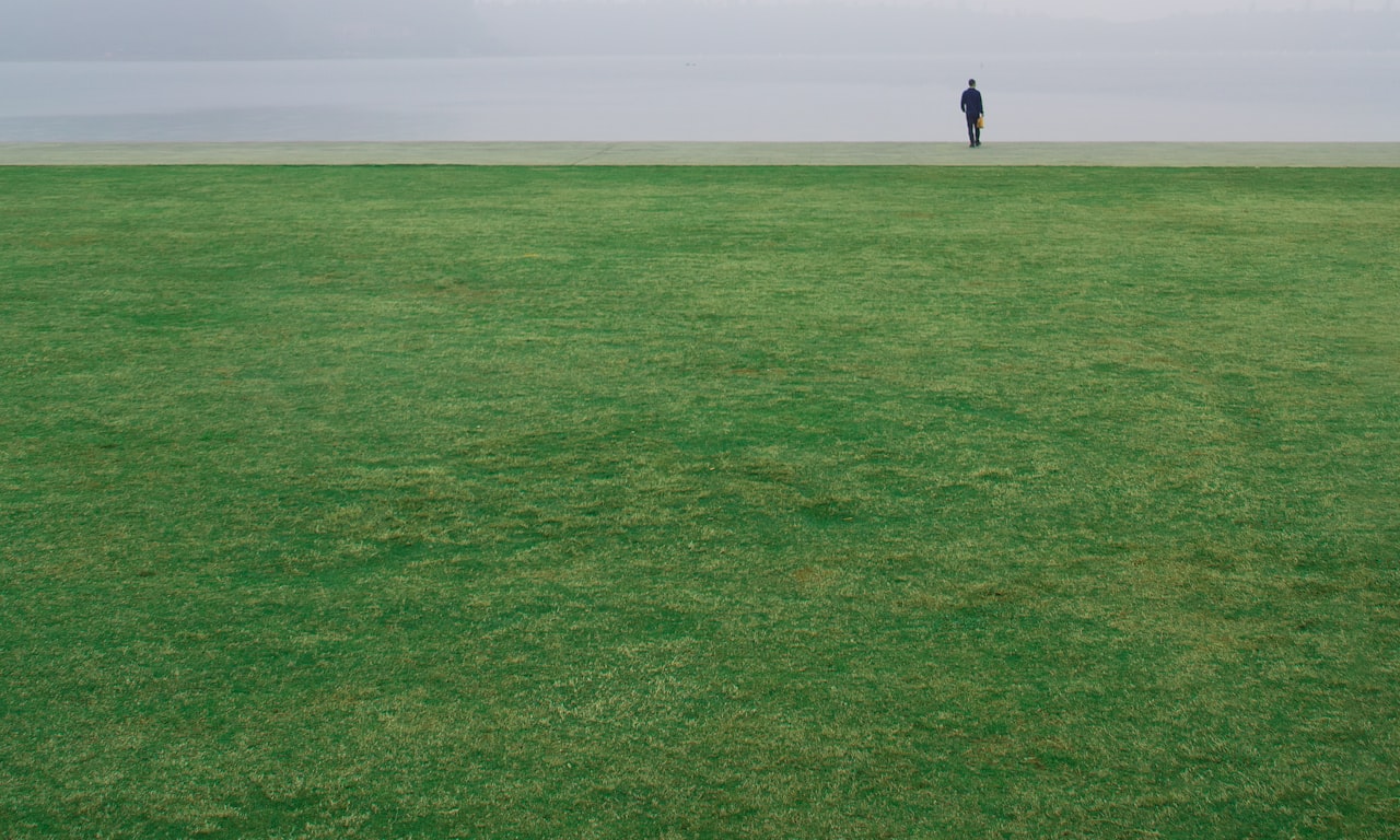 where-to-buy-vigilante-weed-control-kapiti-coast